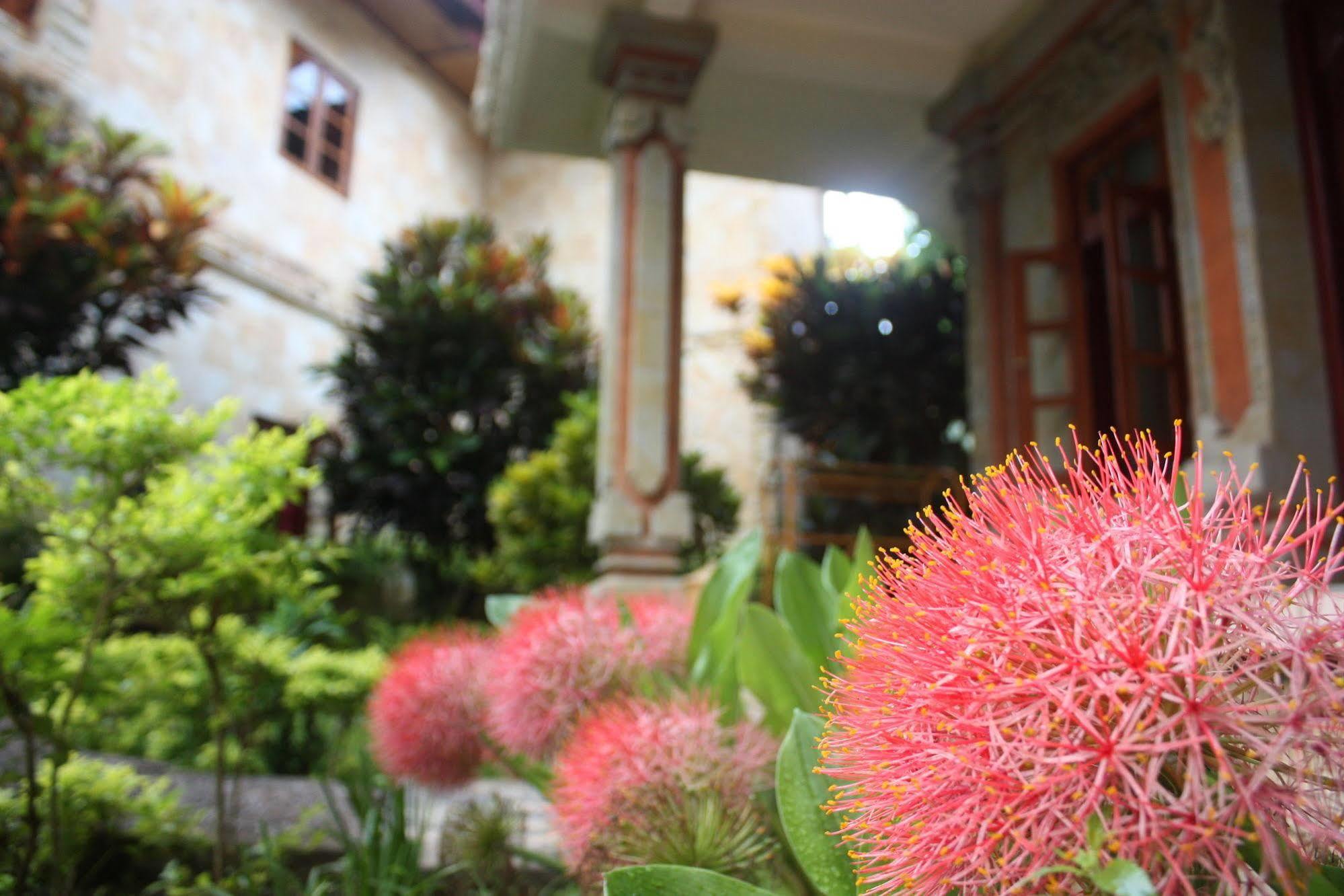 Rambutan Boutique Hotel Lovina Exteriér fotografie